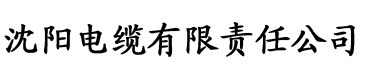 诸天之从武侠到神话电缆厂logo